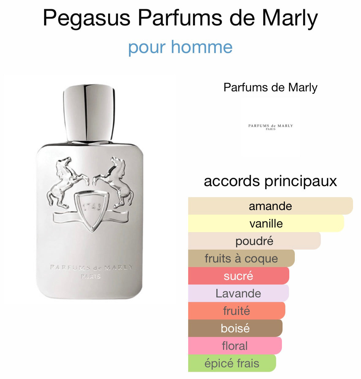 PEGAZ inspiration Pegasus