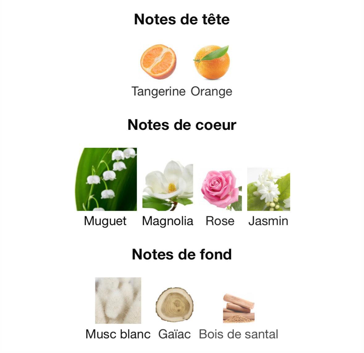 APOGÉE inspiration Apogée