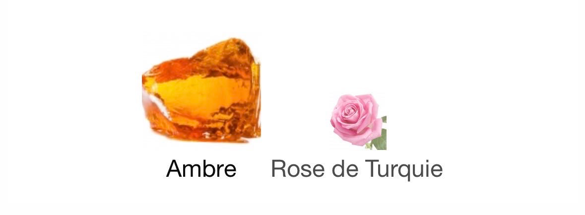 AMBRE inspiration Ambre Nuit