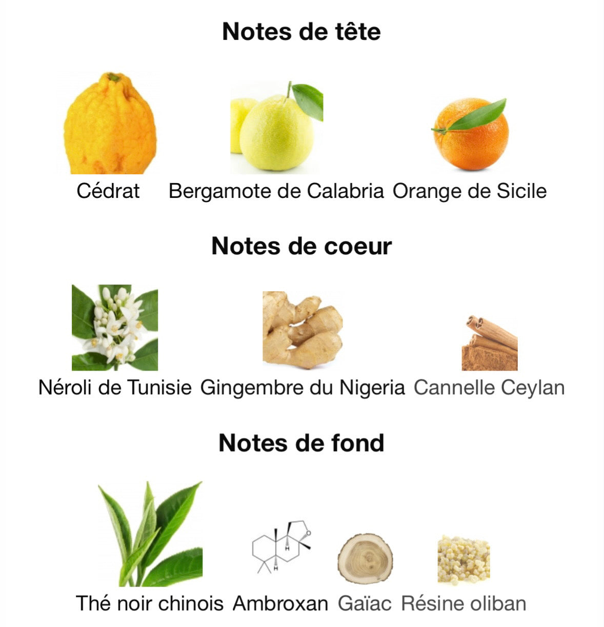 IMAGINATION inspiration Imagination